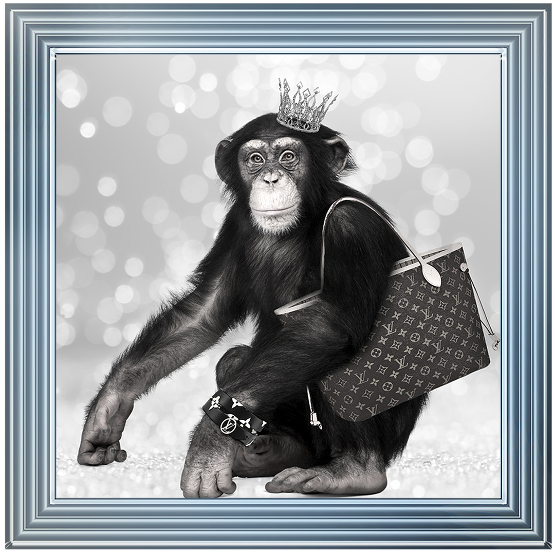 AN151 Designer Monkey