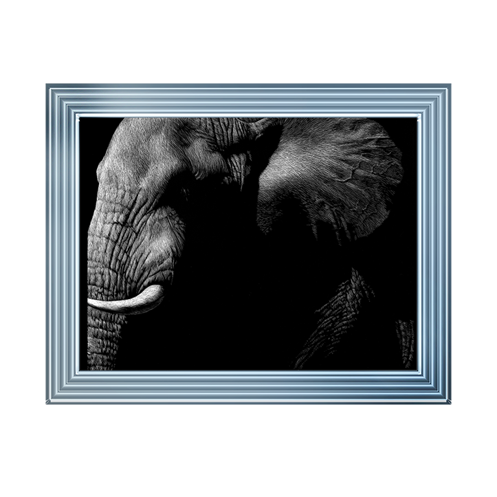 AN026 Wildlife Scratchboards III