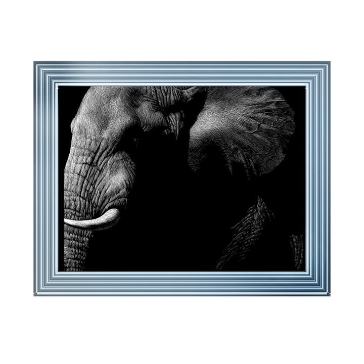 AN026 Wildlife Scratchboards III