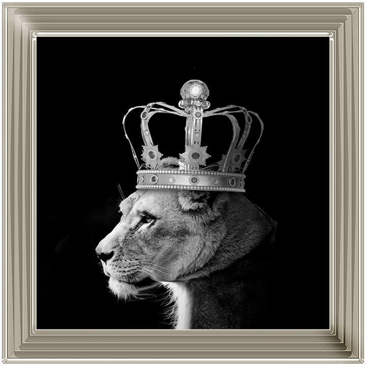 Queen Lion Silver