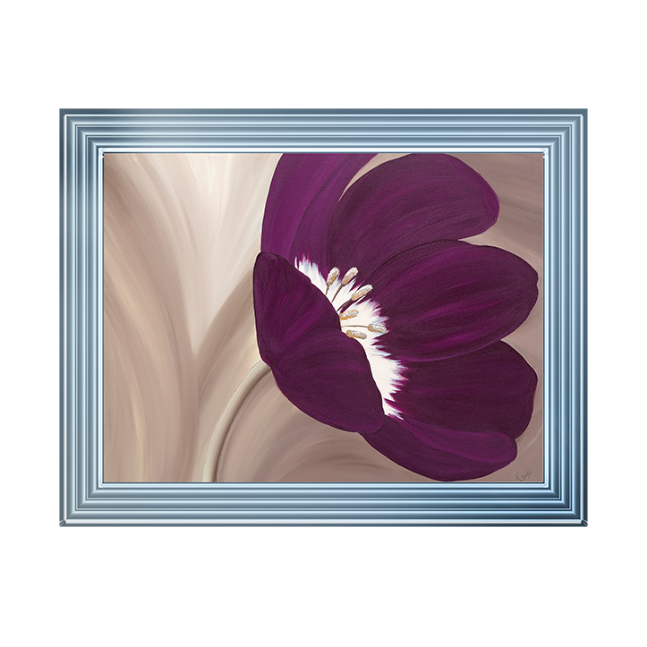 Velvet Poppy