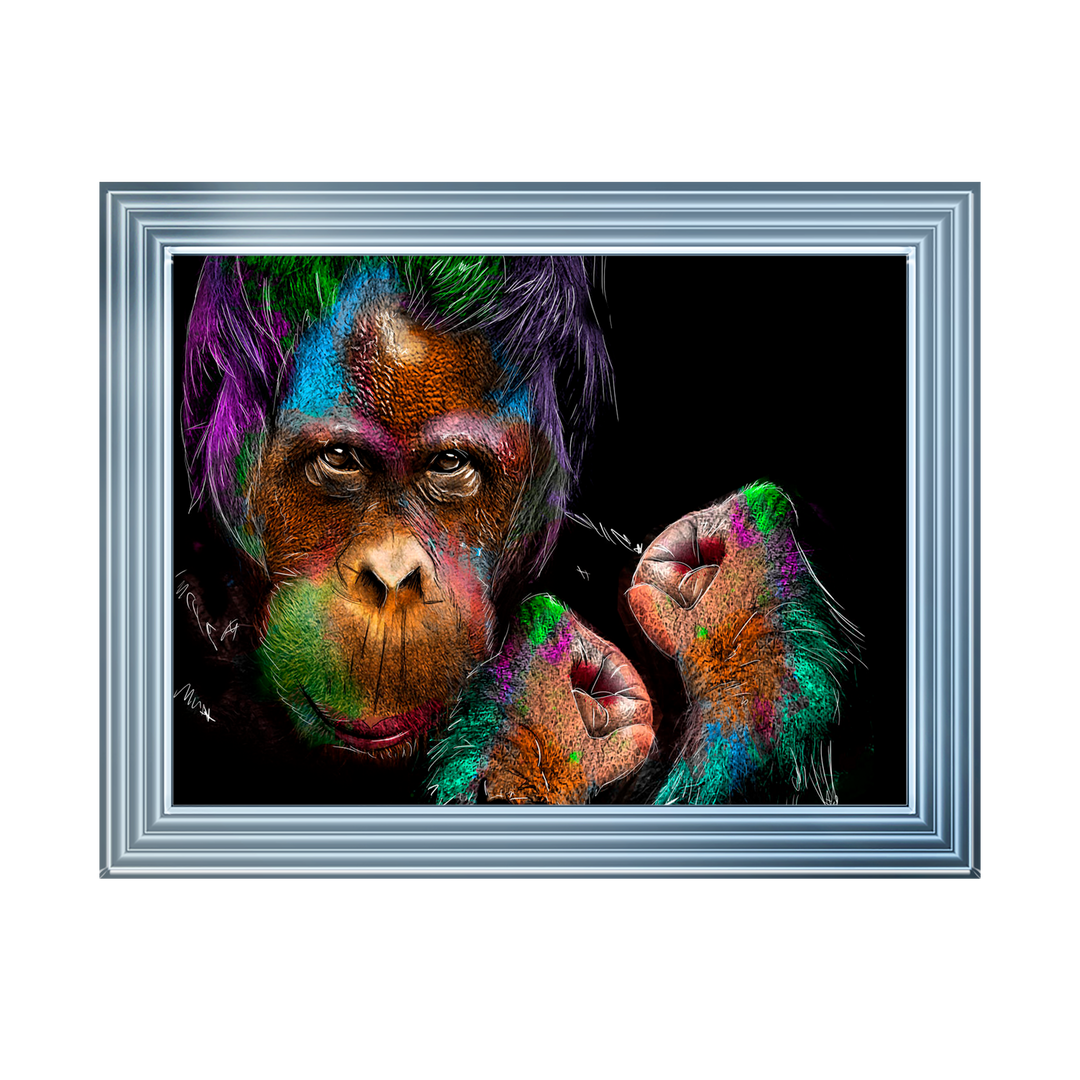 Orangutan
