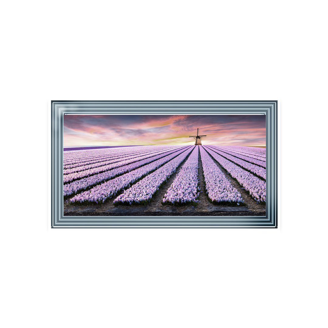 Purple Field