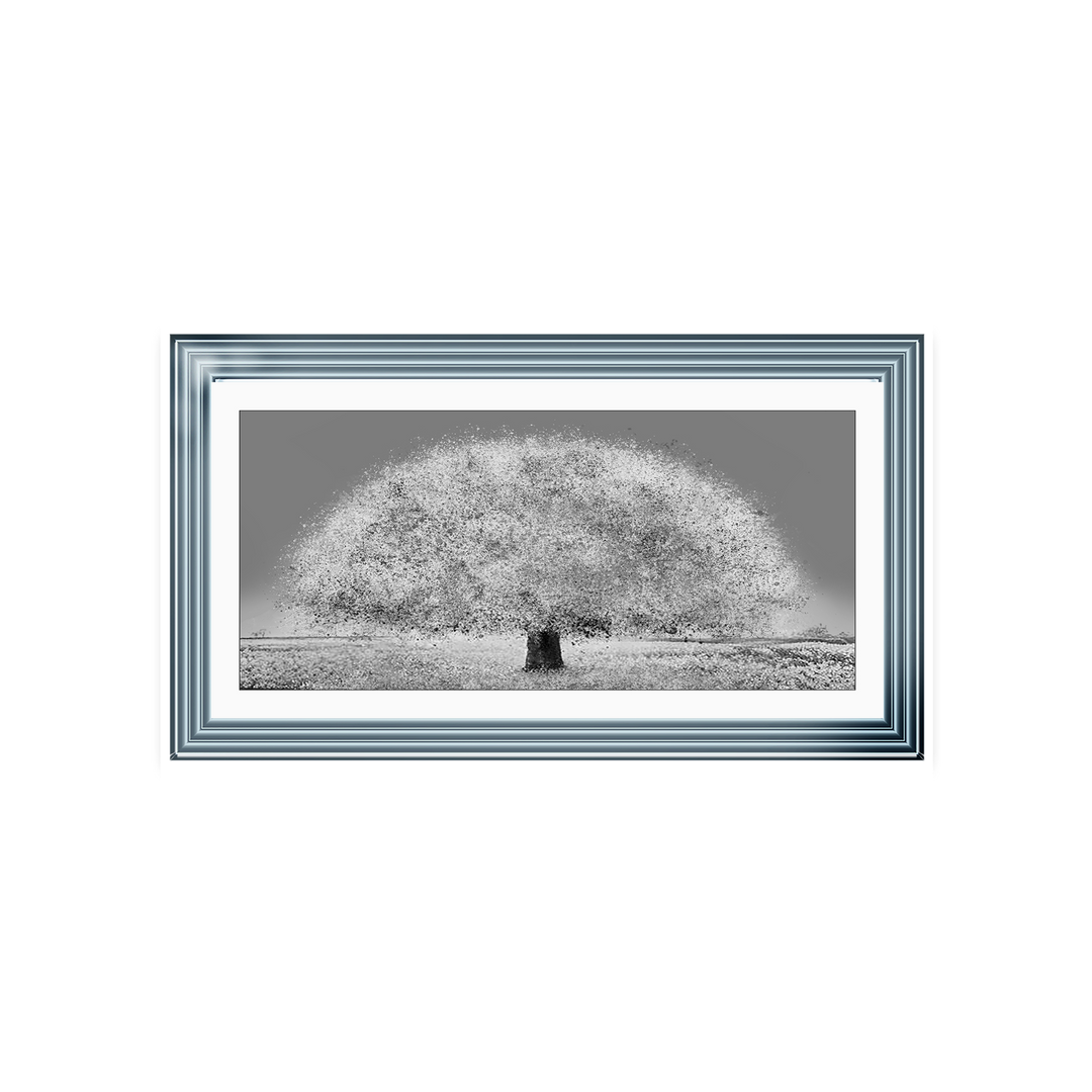 LS205 Black and white tree