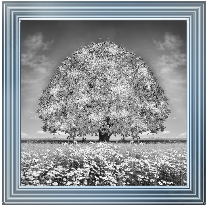 LS276 White Oak Tree