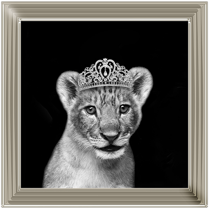 Princess Cub Silver