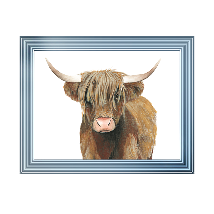 AN009 Highland Cattle II