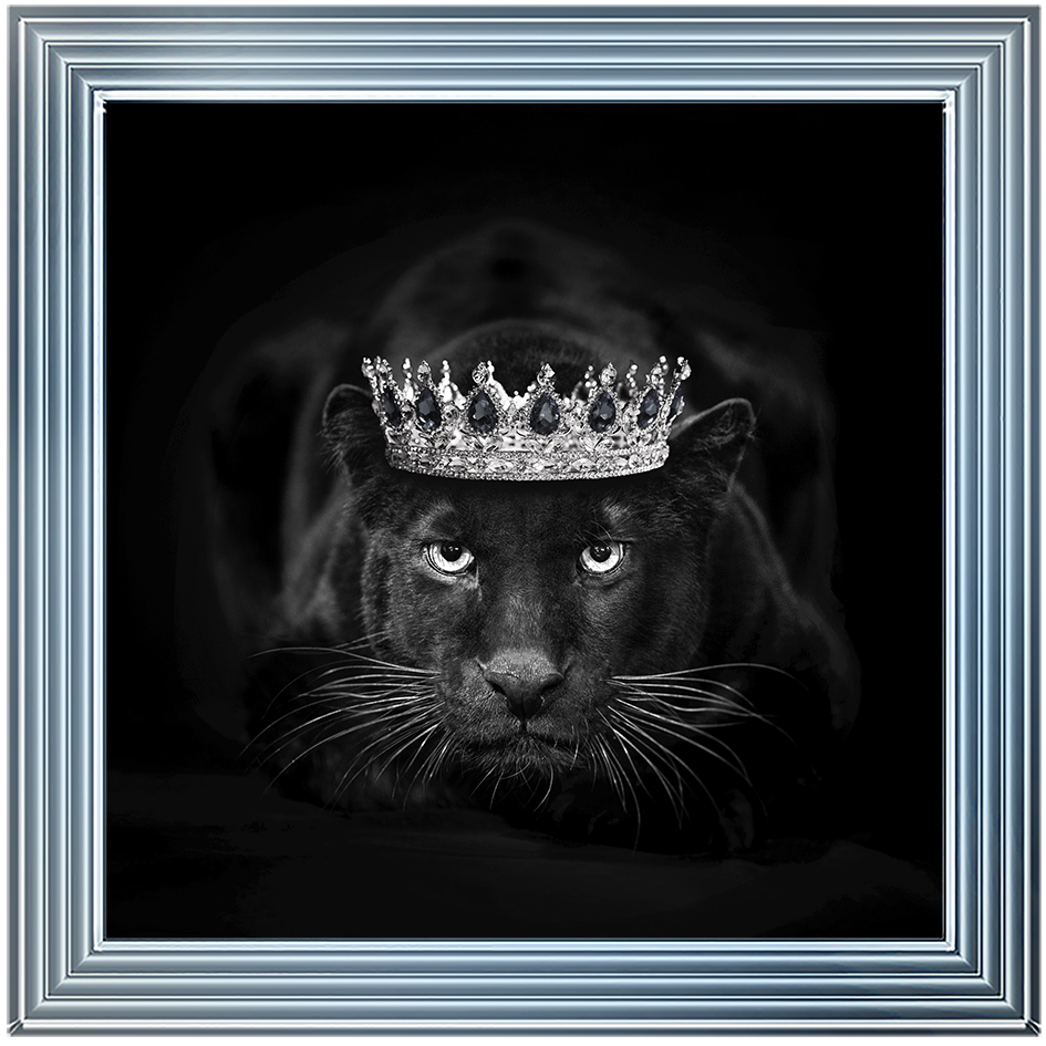 Royal Jaguar