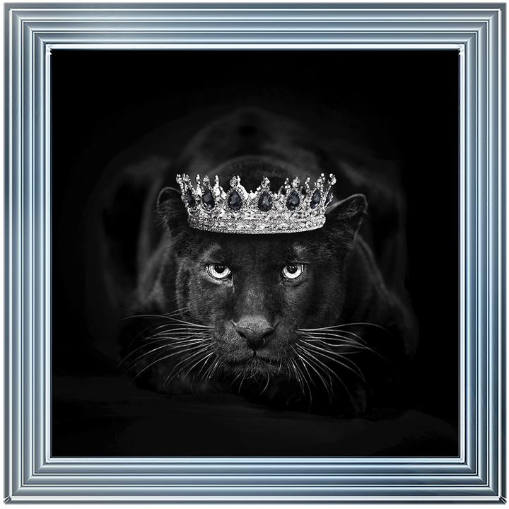 Royal Jaguar