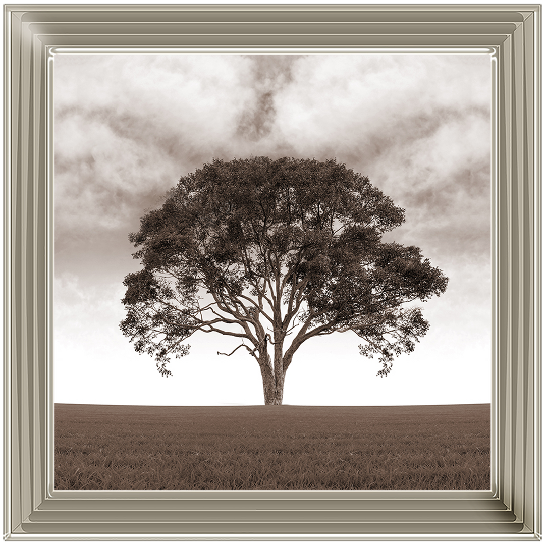 LS189 Lone Tree