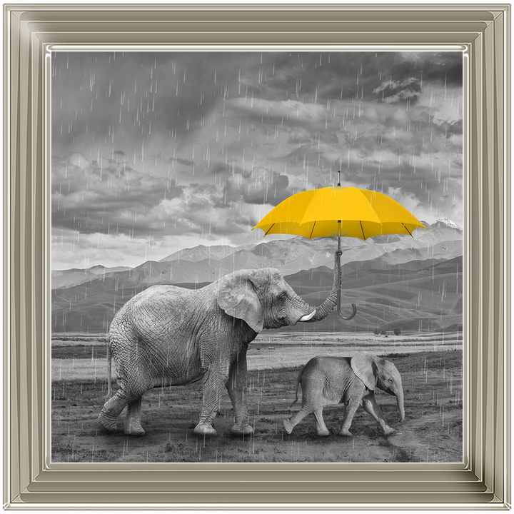 AN343 I've got you (yellow) II