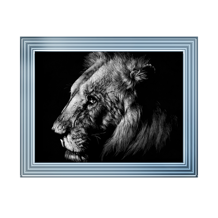 AN025 Wildlife Scratchboards I