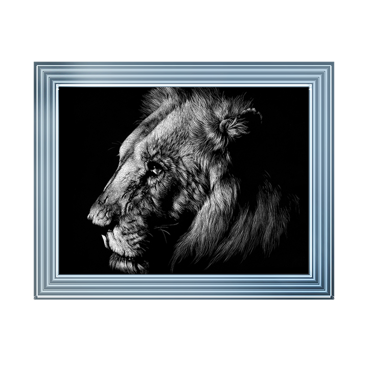 AN025 Wildlife Scratchboards I