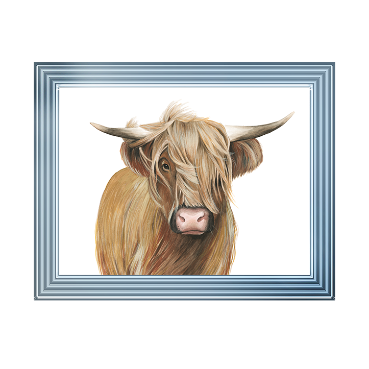 Highland Cattle I