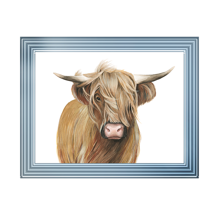 Highland Cattle I