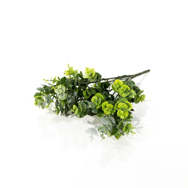 Ravelin Eucalyptus (Pack of 6)