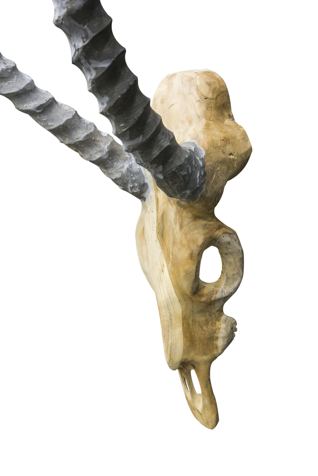 Ulvane Hunting Trophy - Antelope Grey Horns