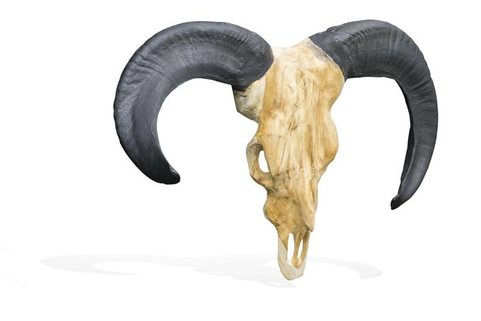 Ulvane Hunting Trophy - Ram Black Horns