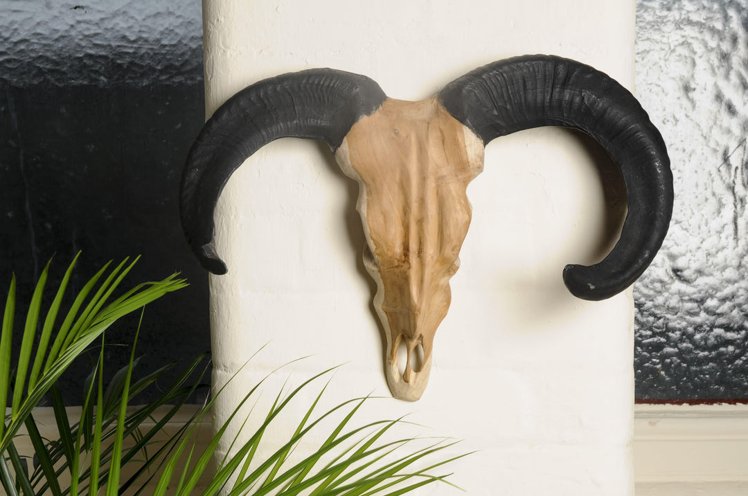 Ulvane Hunting Trophy - Ram Black Horns