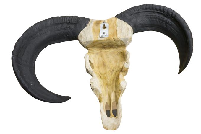 Ulvane Hunting Trophy - Ram Black Horns