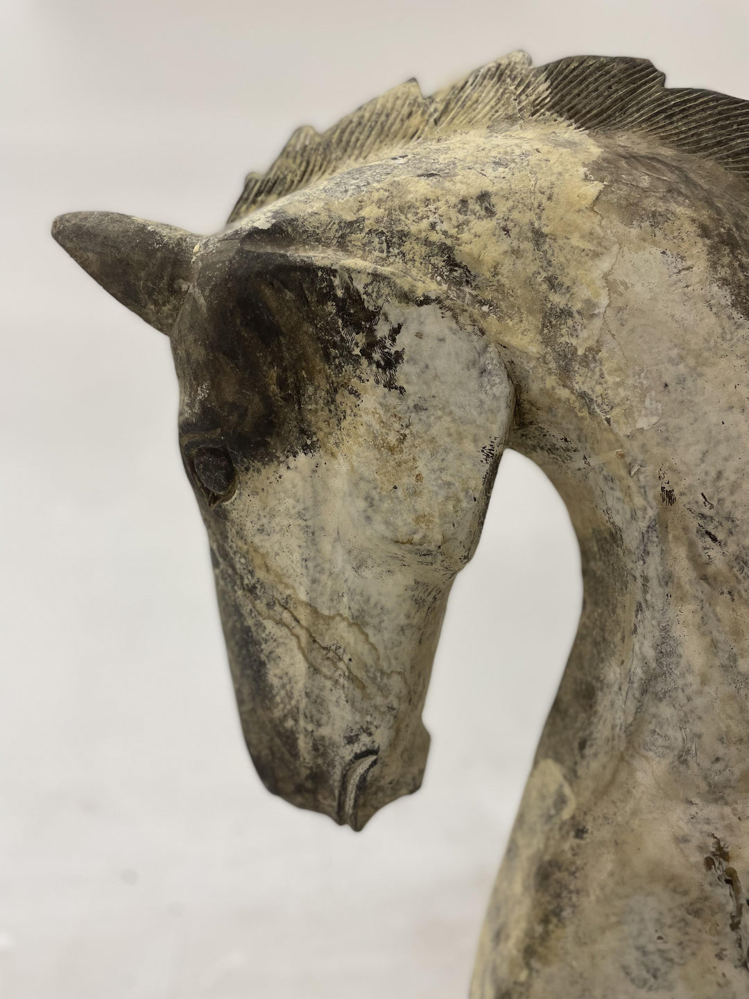 Nivelle Horse - X Lge