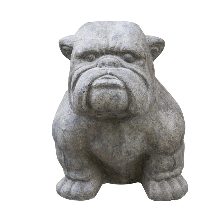 Aurexa XL Bulldog