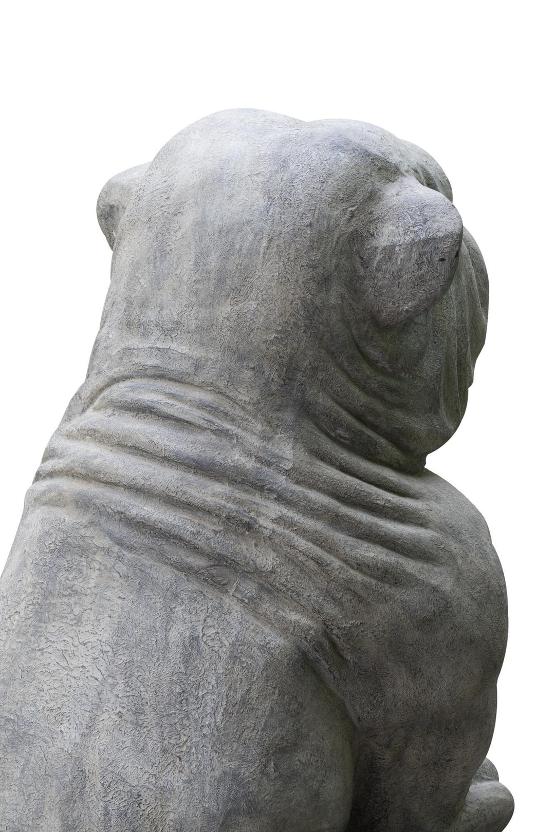 Aurexa XL Bulldog