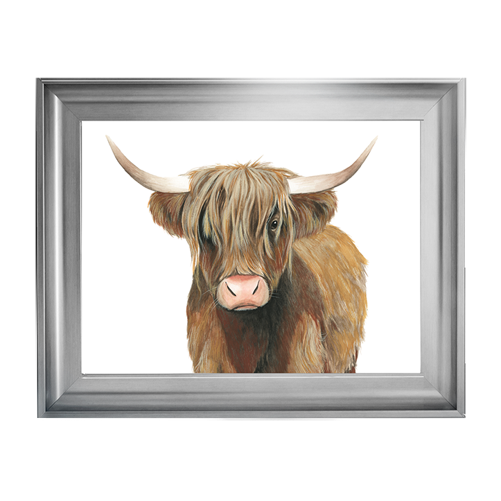 AN009 Highland Cattle II