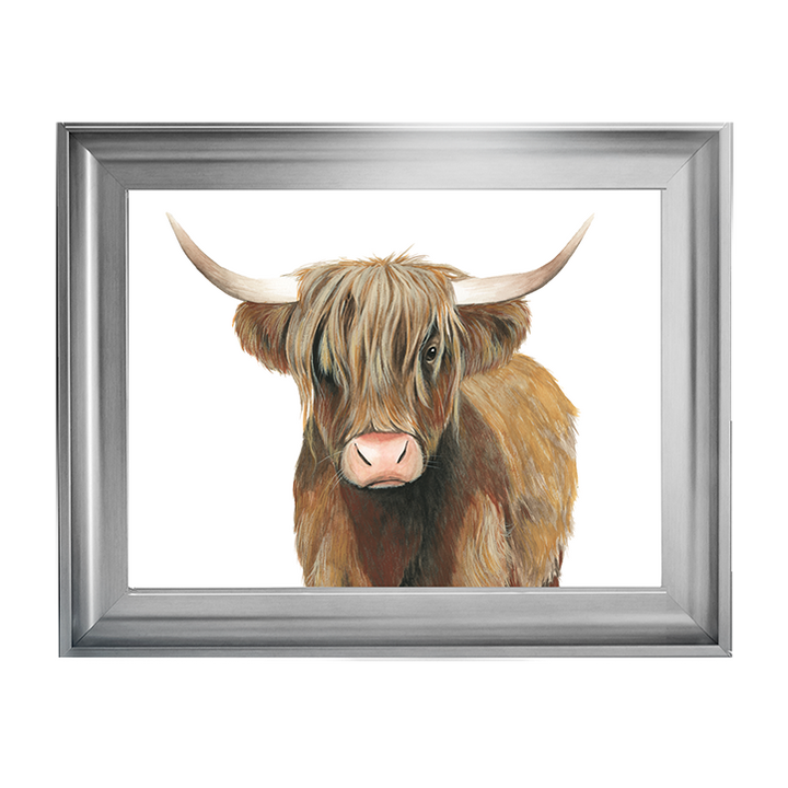 AN009 Highland Cattle II