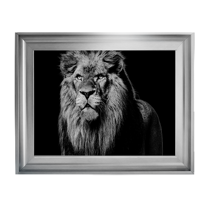 Dark Night Leo