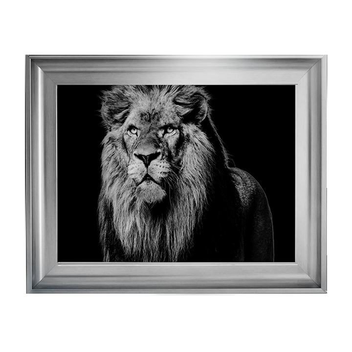 Dark Night Leo