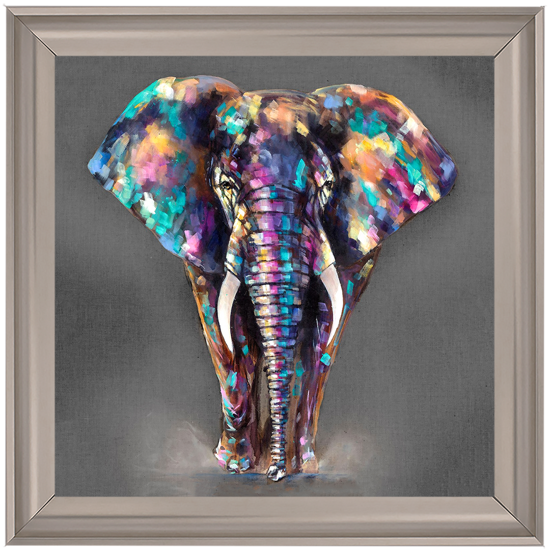 AN340 Colourful Elephant