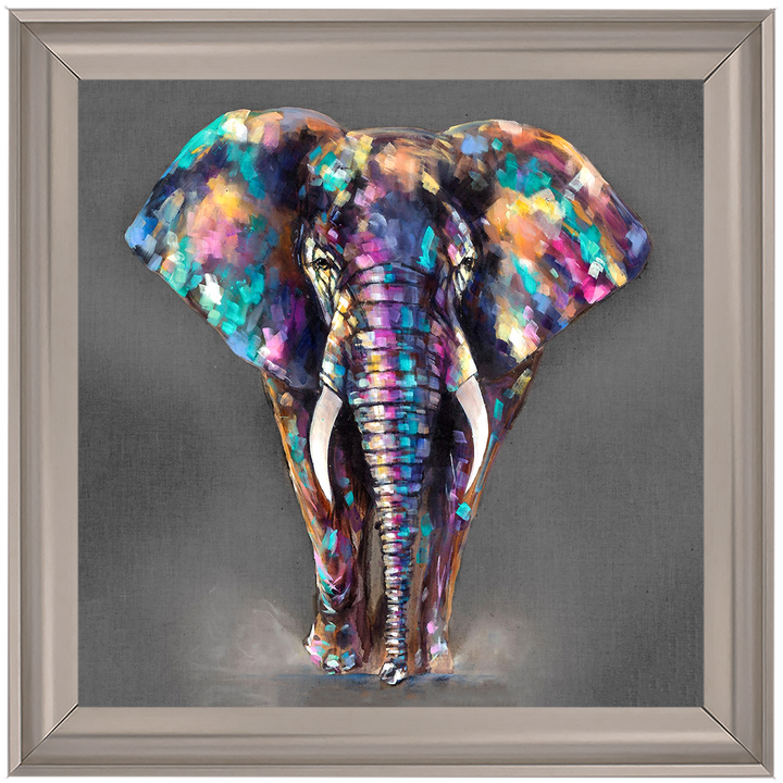 AN340 Colourful Elephant