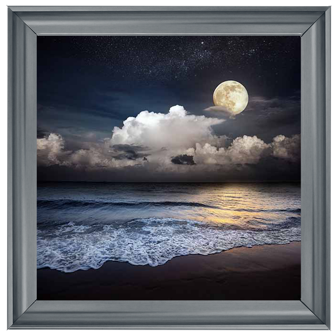 LS295 Full Moon At Twilight ||