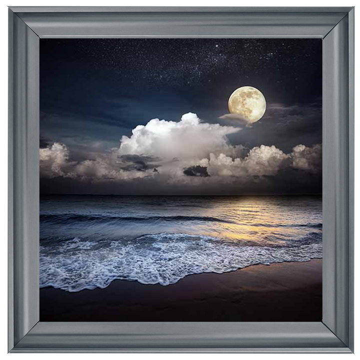 LS295 Full Moon At Twilight ||