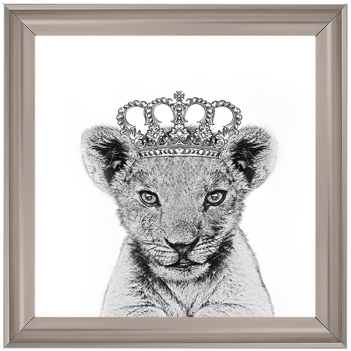 Princess Cub