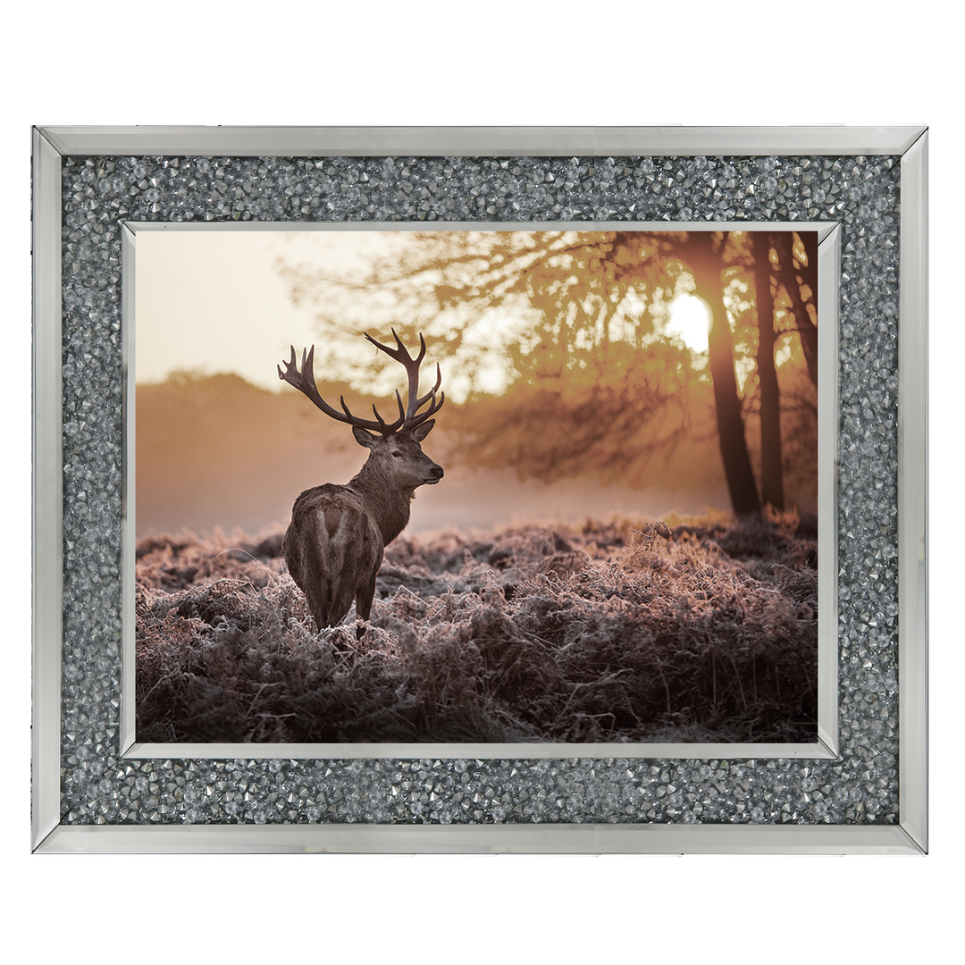 Single Stag 2