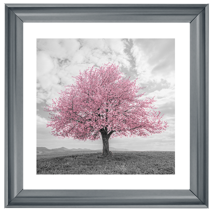 LS123 Pink Lone Tree