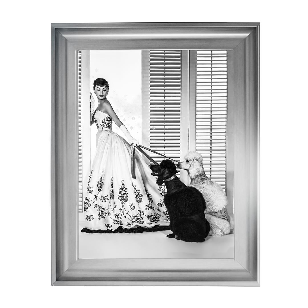 IC005 Audrey Hepburn Poodles