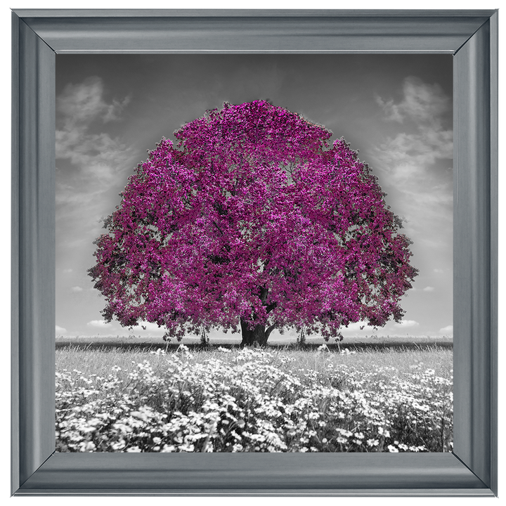LS271 Purple Oak Tree