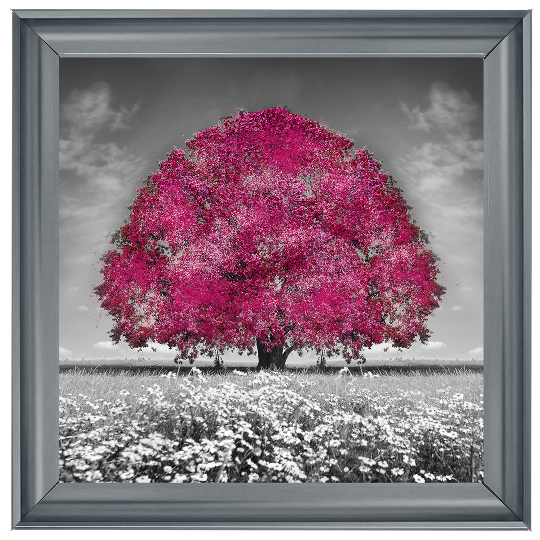 LS272 Pink Oak Tree