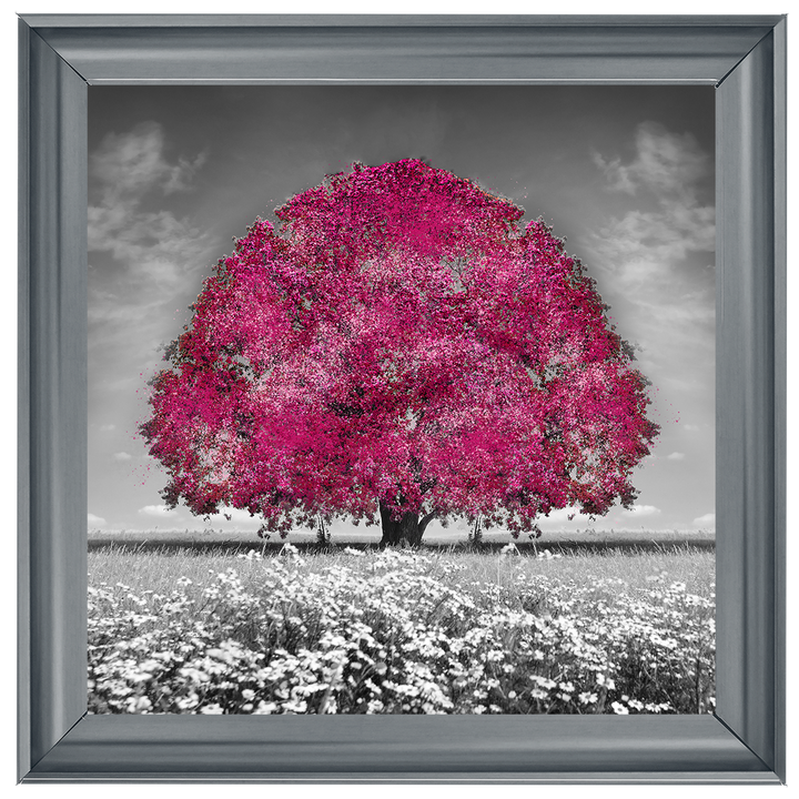 LS272 Pink Oak Tree