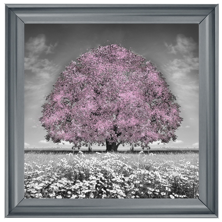 LS275 Pink Oak Tree