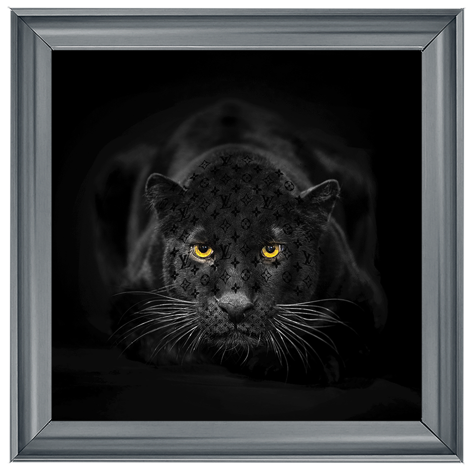 AN259 Black Jaguar