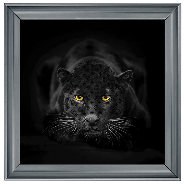 AN259 Black Jaguar