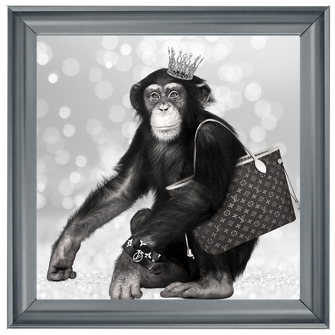 AN151 Designer Monkey