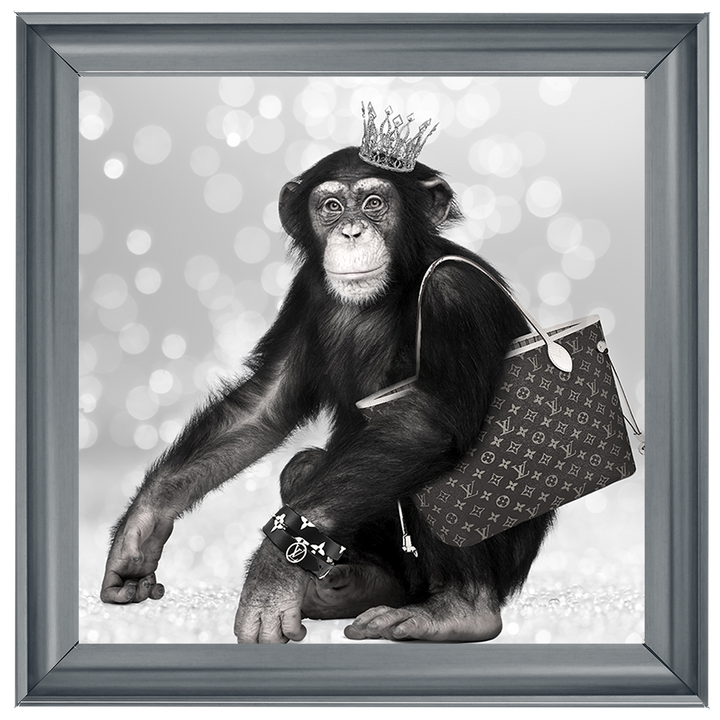 AN151 Designer Monkey
