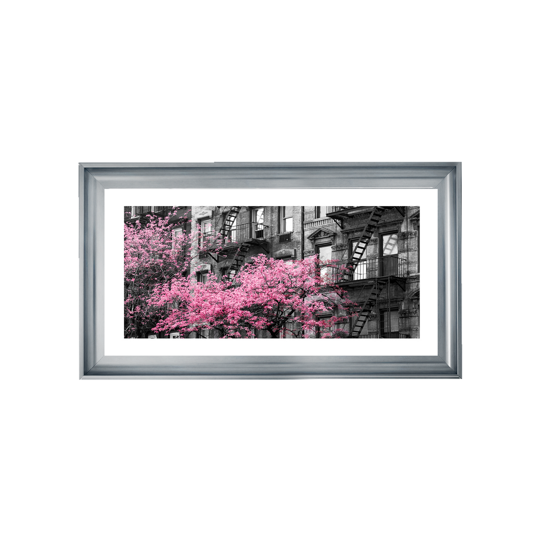 LS182 City View I