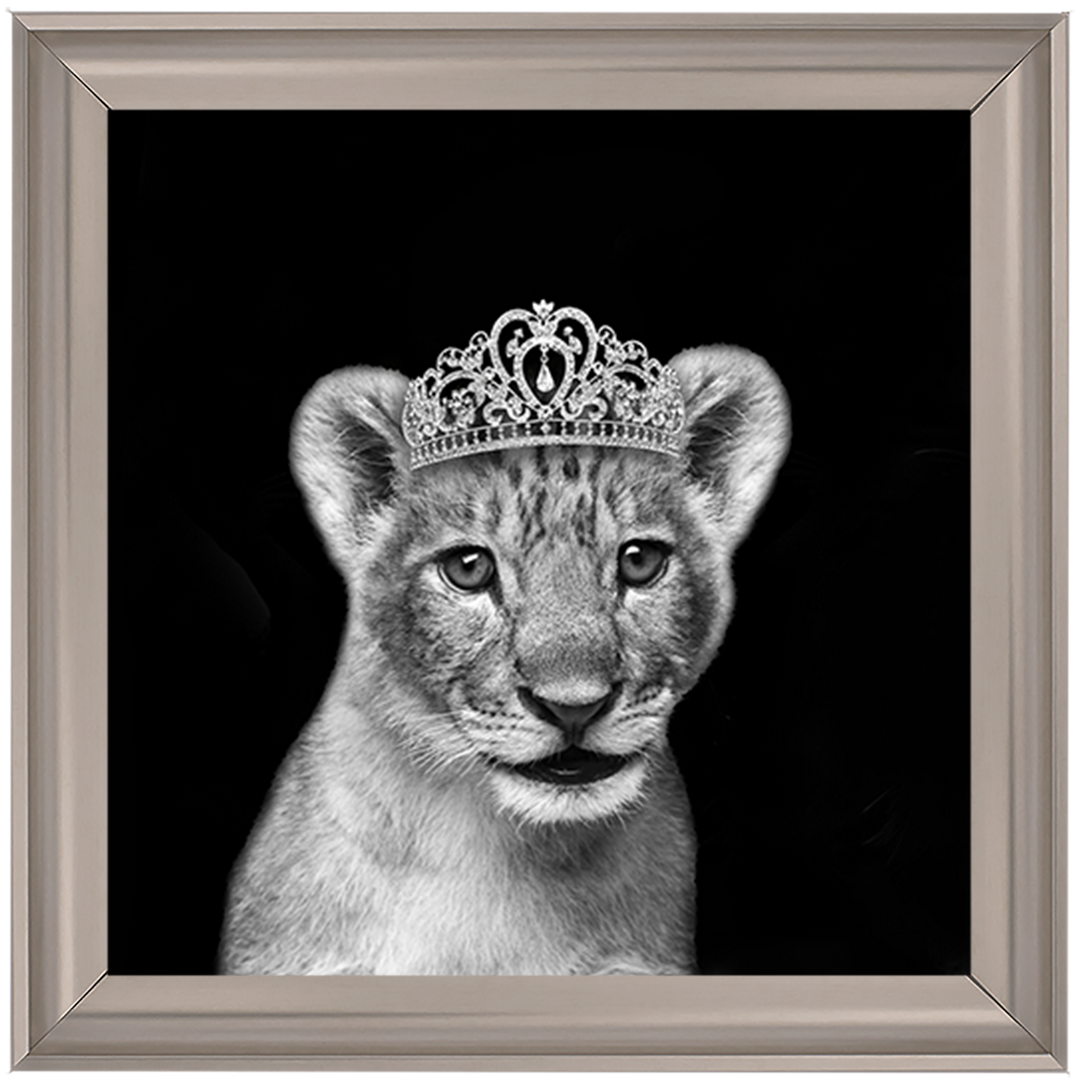 Princess Cub Silver