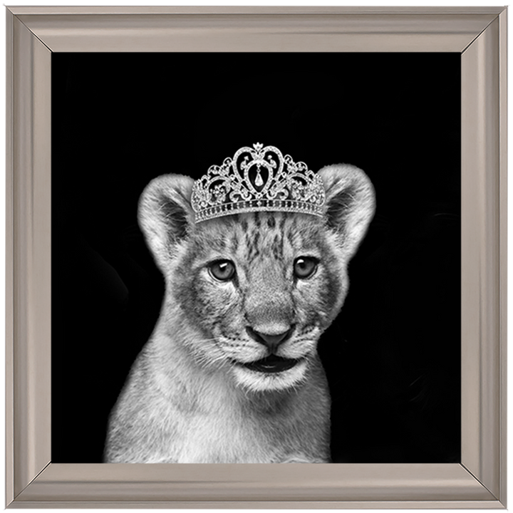 Princess Cub Silver